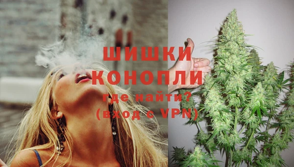 spice Тихвин