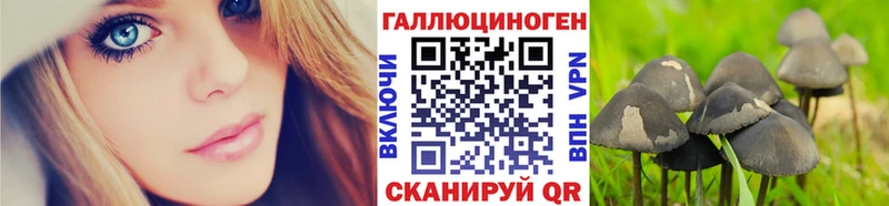 где продают наркотики  KRAKEN маркетплейс  Галлюциногенные грибы MAGIC MUSHROOMS  Мирный 